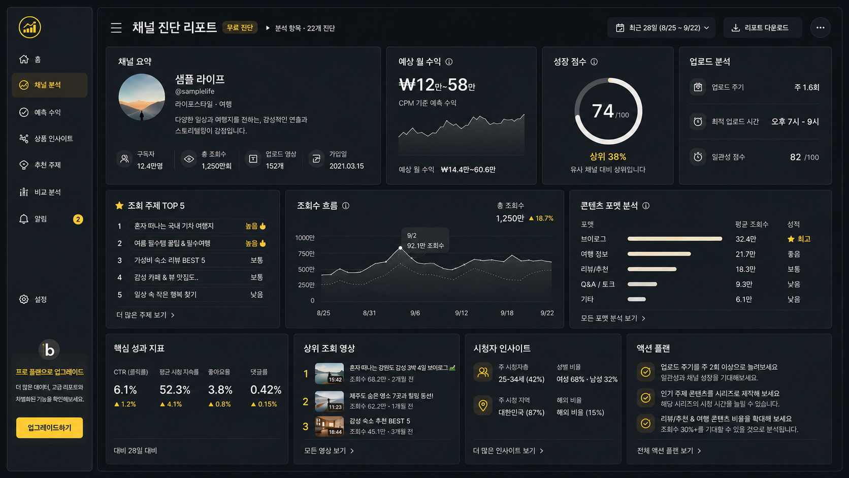 채널 진단 리포트 예시 화면